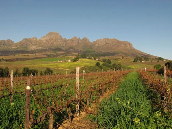 Winelands